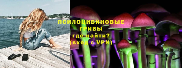 винт Алексеевка