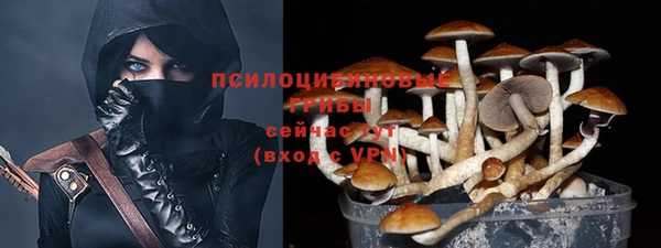 соль ск Абдулино