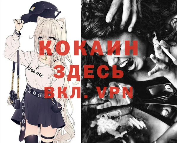 винт Алексеевка